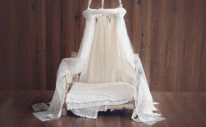 Newborn Canopy Photo Prop