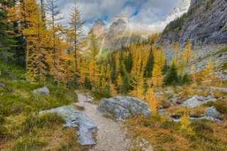 East Opabin Trail, Opabin Plateau, Yoho National Park, British Columbia