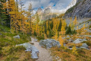 East Opabin Trail, Opabin Plateau, Yoho nationwide Park, British Columbia