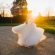 Funny civil ceremony readings
