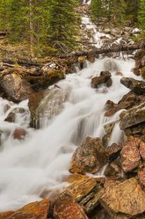 Opabin Plateau Outlet flow, Yoho nationwide Park, British Columbia