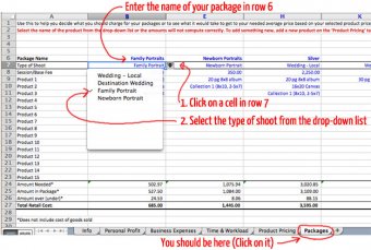 Photographer's rates Guide Workbook Screenshot