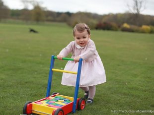 Princess Kate Shares 4 Sweet New Photos of Princess Charlotte – Just in Time for Her First Birthday!| The British Royals, The Royals, Princess Charlotte