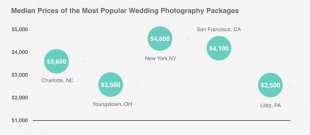 This picture reveals the median price of popular wedding photographers across a few urban centers inside U.S.