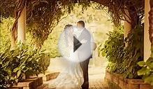Professional Wedding Photography Poses Ideas l Best