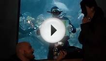 Secret Wedding Proposal at New England Aquarium